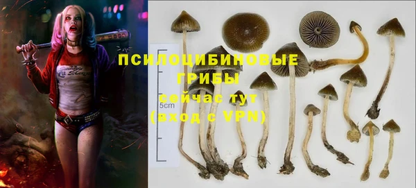 наркотики Белокуриха