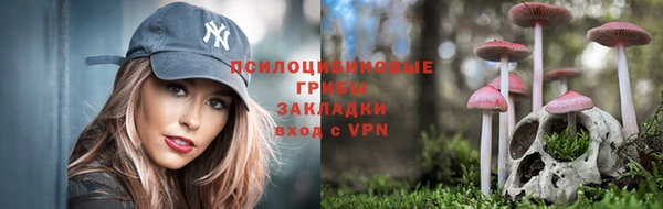 наркотики Белокуриха