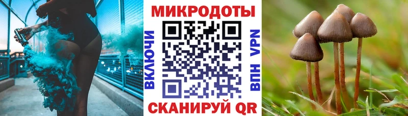 купить наркотики цена  Киреевск  Псилоцибиновые грибы Psilocybine cubensis 